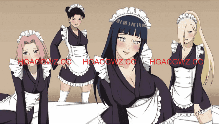08135311200
